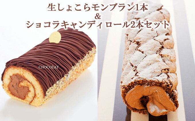 【ふるさと納税】ケーキ 生しょこらモンブラン 1本 ＆ ショコラキャンディロール 2本 セット 菓子 お菓子 スイーツ デザート ロールケーキ 洋菓子 生菓子 モンブラン 食べ比べ ベルギー チョコ チョコレート ガーナ　【 盛岡市 】