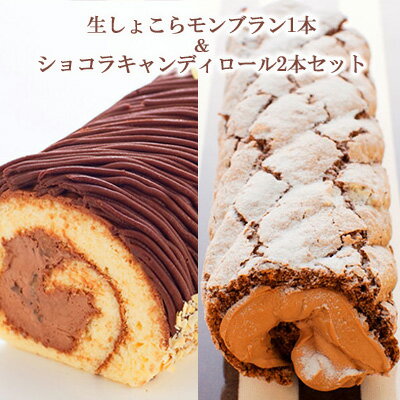 ケーキ 生しょこらモンブラン 1本 ＆ ショコラキャンディロール 2本 セット 菓子 お菓子 スイーツ デザート ロールケーキ 洋菓子 生菓子 モンブラン 食べ比べ ベルギー チョコ チョコレート ガーナ　【 盛岡市 】