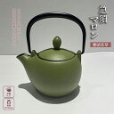 【ふるさと納税】南部鉄器 急須 マロン 艶消若草 岩鋳 ティーポット ポット キッチン おしゃれ 日本製 鉄瓶 鉄器 南部鉄 岩手 岩手県 盛岡市