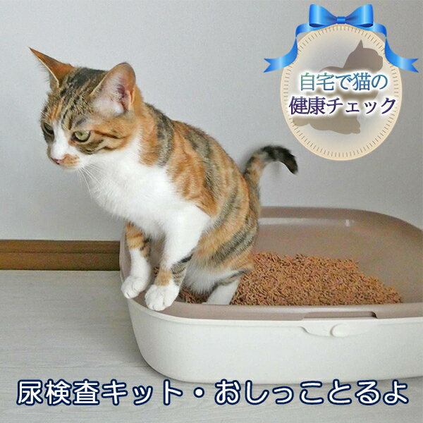 [自宅で猫の健康チェック]尿検査キット・おしっことるよ [ ペット用品 猫用 愛猫の健康チェックキット 簡単検査 リスクを見える化 猫の尿検査キット pH 糖 タンパク ヘモグロビン ]