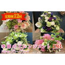 【ふるさと納税】季節のアレンジメント M 定期便 12ヶ月【田村フローリスト】 お花 植物 贈り物 誕生日 結婚祝い ホワイトデー バレンタイン 父の日 母の日...