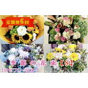 【ふるさと納税】季節の花束S 定期便 6ヶ月【田村フローリスト】 お花 植物 贈り物 誕生日 結婚祝い ホワイトデー バレンタイン 父の日 母の日 結婚記念日 ...