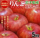 【ふるさと納税】先行予約《2024年10月中旬~発送》藤原農園のりんご『シナノスイート』5kg 14玉~20玉 果物類 美味しい 産地直送 大人気 果汁 果肉 トップランク 食感 絶品 甘い お届け:2025年10月中旬~2026年3月末(4)