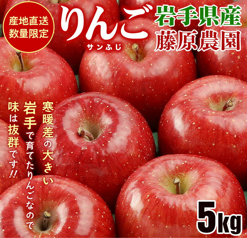 【ふるさと納税】先行予約《2024年11月中旬~発送》藤原農園のりんご『サンふじ』5kg 14玉~20玉 果物類 美味しい 生産 大人気 果汁 果肉 やや硬い シャキシャキ 食感 絶品 高糖度 蜜 お届け:2025年10月中旬~2026年3月末