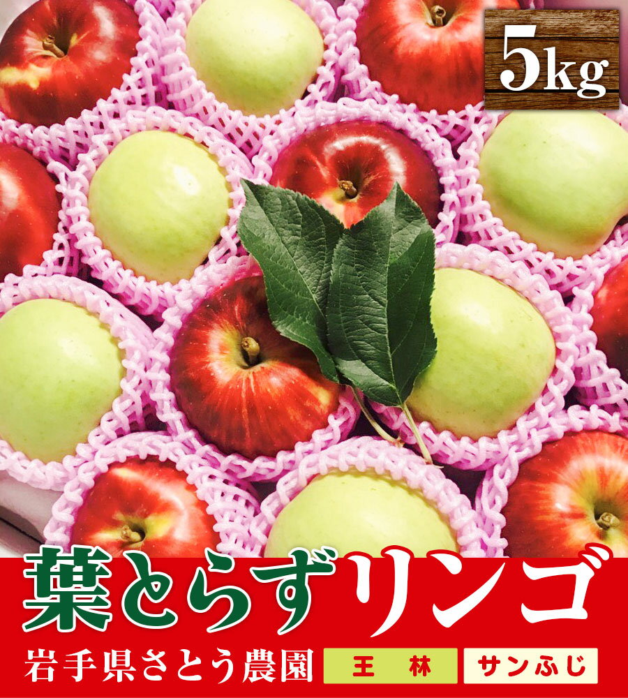 さとう農園の葉とらずリンゴ　ミックス（王林/サンふじ）　5kg　【 果物類 美味しい 生産 大人気 果汁 果肉 歯ごたえ ジューシー 食感 絶品 高糖度 蜜 甘い 食べ比べ 】　お届け：2024年12月中旬～2025年1月下旬