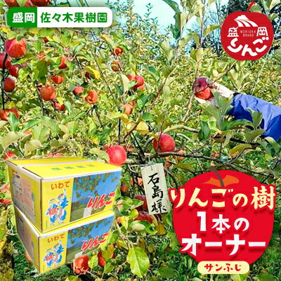 【ふるさと納税】りんご オーナー 定期便 2ヶ月 りんごの樹 サンふじ 1本のオーナー 収穫したりんご約15kgを2回発送 佐々木果樹園 乙部角屋 フルーツ 果物 産地直送 旬 先行予約 先行 予約 岩手 定期 2回 お届け:2025年11月中旬~2025年12月下旬 【ふるさと納税】りんご オーナー 定期便 2ヶ月 りんごの樹 サンふじ 1本のオーナー 収穫したりんご約15kgを2回発送 佐々木果樹園 乙部角屋 フルーツ 果物 産地直送 旬 先行予約 先行 予約 岩手 定期 2回 お届け:2025年11月中旬~2025年12月下旬