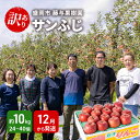 【ふるさと納税】訳あり りんご サンふじ 約 10kg (24~40玉 玉数指定不可) 盛岡から「農で人をつなぐ」藤与果樹園 訳アリ 不揃い 傷 規格外 フルーツ 果物 旬のフルーツ 旬の果物 旬 冬 岩手 盛岡 産地直送 12月から発送 お届け:2025年11月20日~2026年2月28日