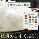 ★精米したてが1番！新米★令和5年産 盛岡市産 銀河のしずく 5kg×2『定期便6ヶ月』 ◆1等米のみを使用したお米マイスター監修の米◆　　お届け：2023年11月初旬より順次