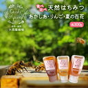 【ふるさと納税】《食べ比べ》盛岡市 大西養蜂場 無添加・非加熱 はちみつ《あかしあ》《りんご》《夏の百花》各300g 便利な倒立ボトル 貴重 採蜜 無加工ミツバ...
