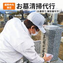 【ふるさと納税】《盛岡市内限定》お墓清掃代行 (お墓参り 報告書)
