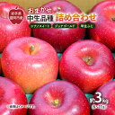 【ふるさと納税】【10月から発送】 りんご 盛岡から「農で人をつなぐ」藤与果樹園:おまかせ中生品種詰め合わせ( シナノスイート ジョナゴールド 早生ふじ )約3kg 6~11玉 玉数指定不可 詰め合わせ 岩手 盛岡 お届け:2025年9月25日~2025年11月15日