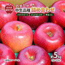 【ふるさと納税】【10月から発送】 りんご 盛岡から「農で人をつなぐ」藤与果樹園:おまかせ中生品種詰め合わせ( シナノスイート ジョナゴールド 早生ふじ )約5kg 12~23玉 玉数指定不可 詰め合わせ 岩手 盛岡 お届け:2025年9月25日~2025年11月15日