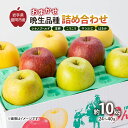 【ふるさと納税】【11月から発送】 りんご 盛岡から「農で人をつなぐ」藤与果樹園:おまかせ晩生品種詰め合わせ( シナノゴールド 王林 こうこう サンふじ はるか )約10kg 24~40玉 玉数指定不可 詰め合わせ 岩手 盛岡 お届け:2025年11月20日~2026年2月28日