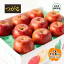 【ふるさと納税】【8月から発送】 りんご 盛岡から「農で人をつなぐ」藤与果樹園: つがる 約3kg 6~11玉 玉数指定不可 詰め合わせ 岩手 盛岡 お届け:2025年8月25日~2025年9月20日