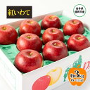 【ふるさと納税】【8月から発送】 りんご 盛岡から「農で人をつなぐ」藤与果樹園: 紅いわて 約3kg 6~11玉 玉数指定不可 詰め合わせ 岩手 盛岡 お届け:2025年8月25日~2025年9月20日