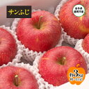 【ふるさと納税】【11月から発送】 りんご 盛岡から「農で人をつなぐ」藤与果樹園: サンふじ 約3kg 6~11玉 玉数指定不可 詰め合わせ 岩手 盛岡 お届け:2025年11月20日~2026年2月28日
