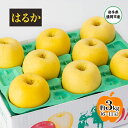 【ふるさと納税】【11月から発送】 りんご 盛岡から「農で人をつなぐ」藤与果樹園: はるか 約3kg 6~11玉 玉数指定不可 詰め合わせ 岩手 盛岡 お届け:2025年11月20日~2026年2月28日