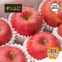 【ふるさと納税】【11月から発送】 りんご 盛岡から「農で人をつなぐ」藤与果樹園: サンふじ 約10kg 24~40玉 玉数指定不可 詰め合わせ 岩手 盛岡 お届け:2025年11月20日~2026年2月28日