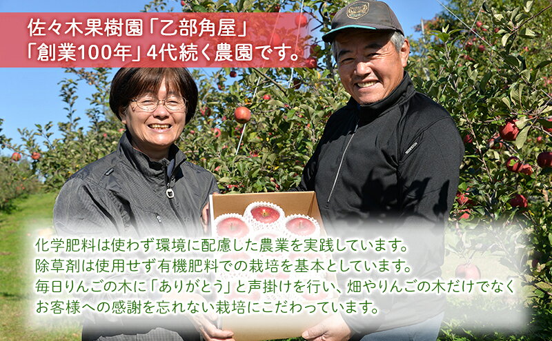 【ふるさと納税】 先行予約 サンふじ りんご 3kg 5kg 盛岡ブランド認証 果物 フルーツ 安心 安全 自然栽培 甘い しゃきしゃき くだもの 食感 人気品種 ギフト 岩手県 盛岡市 東北 岩手 盛岡 乙部角屋 佐々木果樹園 otobe007P f032018-morioka-10002668 岩手県盛岡市 サンプル画像3