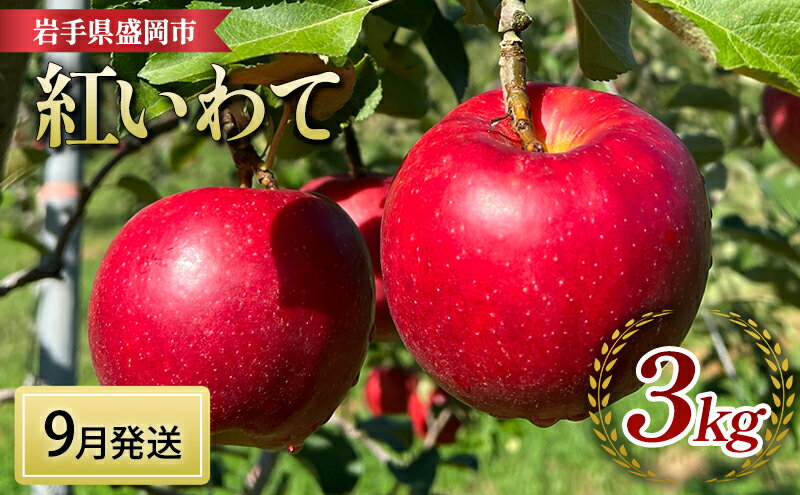 【ふるさと納税】りんご 先行予約 紅いわて 3kg (8～12個) 北田りんご園 完熟 フルーツ 果物 夏 秋 旬 旬のフルーツ 季節のフルーツ 先行 予約 林檎 リンゴ 岩手 岩手県 盛岡 盛岡市 9月発送　お届け：2025年9月下旬の発送