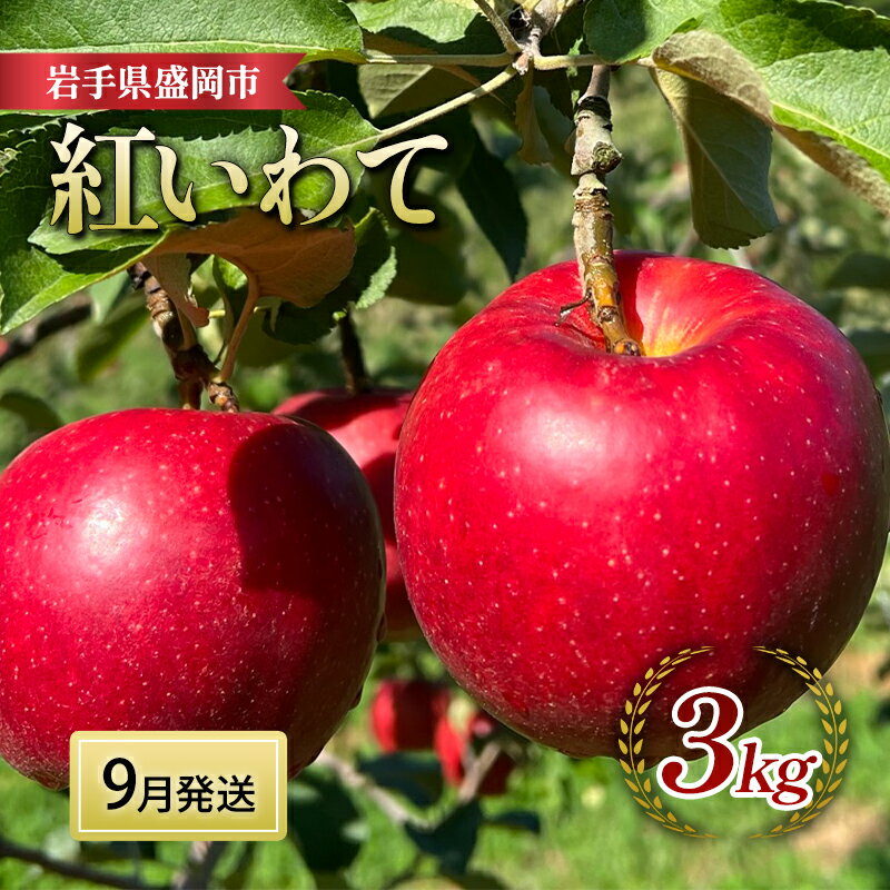 りんご 先行予約 紅いわて 3kg (8〜12個) 北田りんご園 完熟 フルーツ 果物 夏 秋 旬 旬のフルーツ 季節のフルーツ 先行 予約 林檎 リンゴ 岩手 岩手県 盛岡 盛岡市 9月発送 お届け:2025年9月下旬の発送