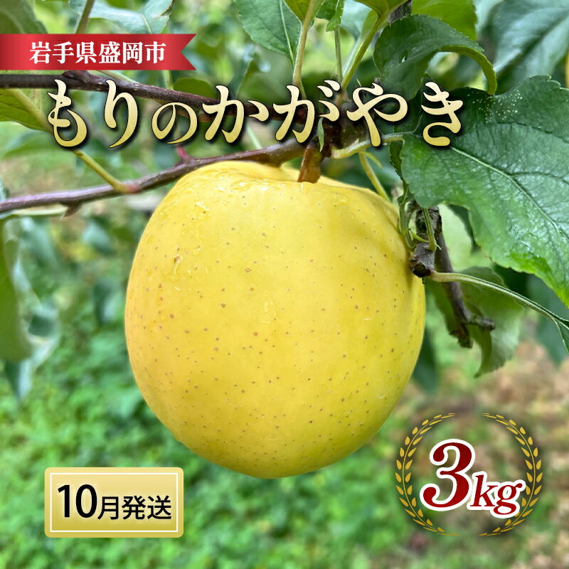 【ふるさと納税】先行予約【10月発送】盛岡 北田りんご園 もりのかがやき 3kg (8~12個) お届け:2025年10月中旬頃からの発送
