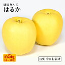【ふるさと納税】12月限定 りんご 『はるか』 生果実 盛岡りんご 約5kg(18個) 箱 盛岡市 下久保農園産 お届け:2025年12月10日から2025年12月20日まで