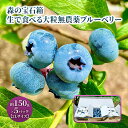 【ふるさと納税】ブルーベリー 2Lサイズ 約150g×5パック 生で食べる 大粒 無農薬 (栽培期間中) 森の宝石箱 生ブルーベリー 生 フルーツ 果物 夏 旬...