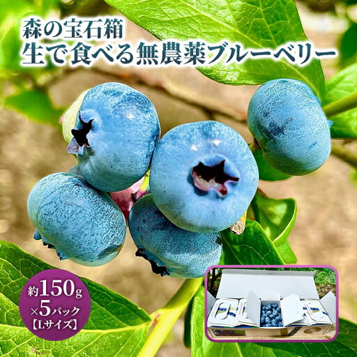 【ふるさと納税】森の宝石箱 生で食べる無農薬(栽培期間中)ブルーベリー 約150g×5パック Lサイズ お届け:2025年6月28日~2025年7月30日 【ふるさと納税】森の宝石箱 生で食べる無農薬(栽培期間中)ブルーベリー 約150g×5パック Lサイズ お届け:2025年6月28日~2025年7月30日