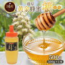 【ふるさと納税】藤原黄金蜂蜜 栃 500g はちみつ とち 国産 単花蜜 朝しぼり 完熟 ハチミツ パン 菓子 トースト ホットケーキ ヨーグルト 調味料 隠し...