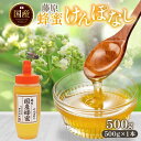 【ふるさと納税】藤原国産蜂蜜 けんぽなし 500g はちみつ ケンポナシ 玄圃梨 国産 単花蜜 朝しぼり 完熟 ハチミツ パン 菓子 トースト ホットケーキ ヨ...