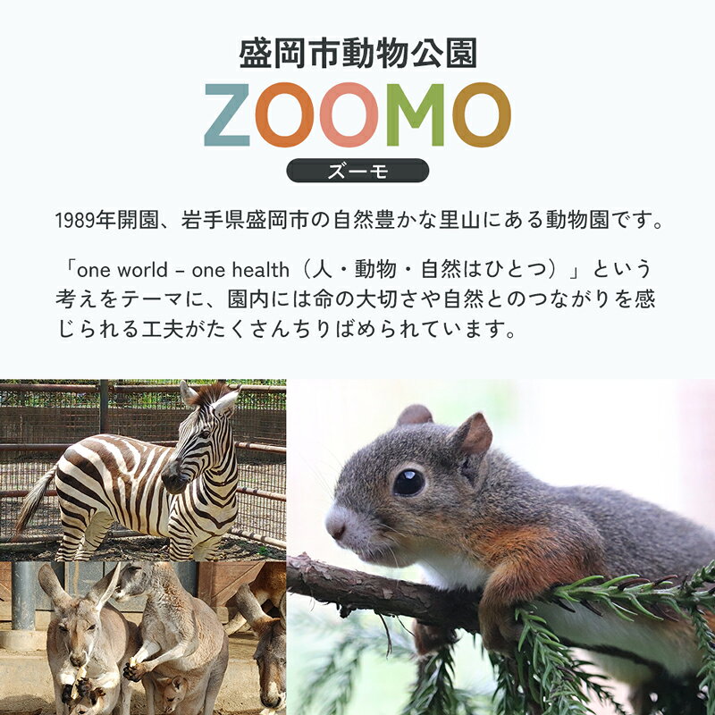 【ふるさと納税】 盛岡市動物公園ZOOMO 入園チケット 大人2枚小中学生1枚セット 動...