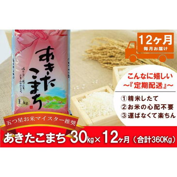 【ふるさと納税】【12か月定期便】盛岡市産あきたこまち30kg×12か月