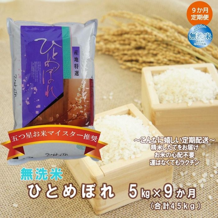 【ふるさと納税】【9か月定期便】盛岡市産ひとめぼれ【無洗米】5kg×9か月 | 米 お米 こめ 白米 精米 ごはん ご飯 お弁当 おにぎり 岩手 国産 お楽しみ 人気 おすすめ 好評 五つ星お米マイスター在籍