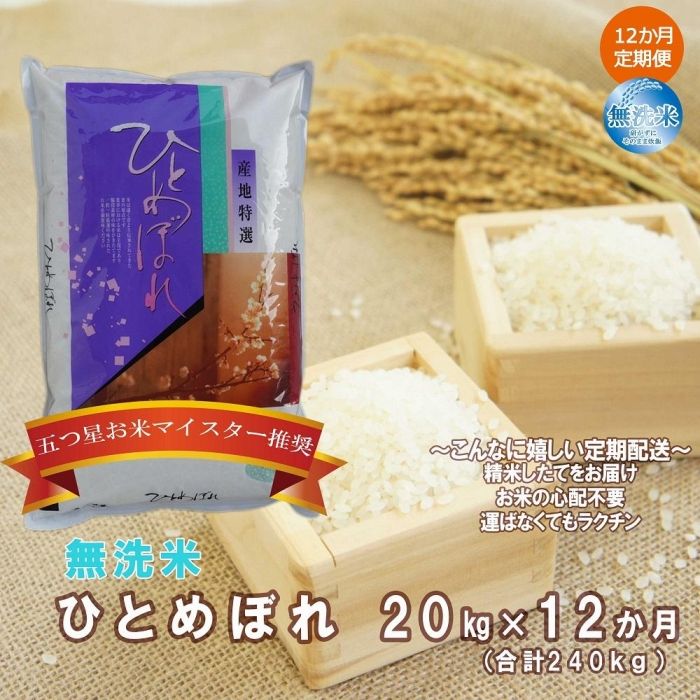 【ふるさと納税】【12か月定期便】盛岡市産ひとめぼれ【無洗米】20kg×12か月 | 米 お米 こめ 白米 精米 ごはん ご飯 お弁当 おにぎり 岩手 国産 お楽しみ 人気 おすすめ 好評 五つ星お米マイスター在籍