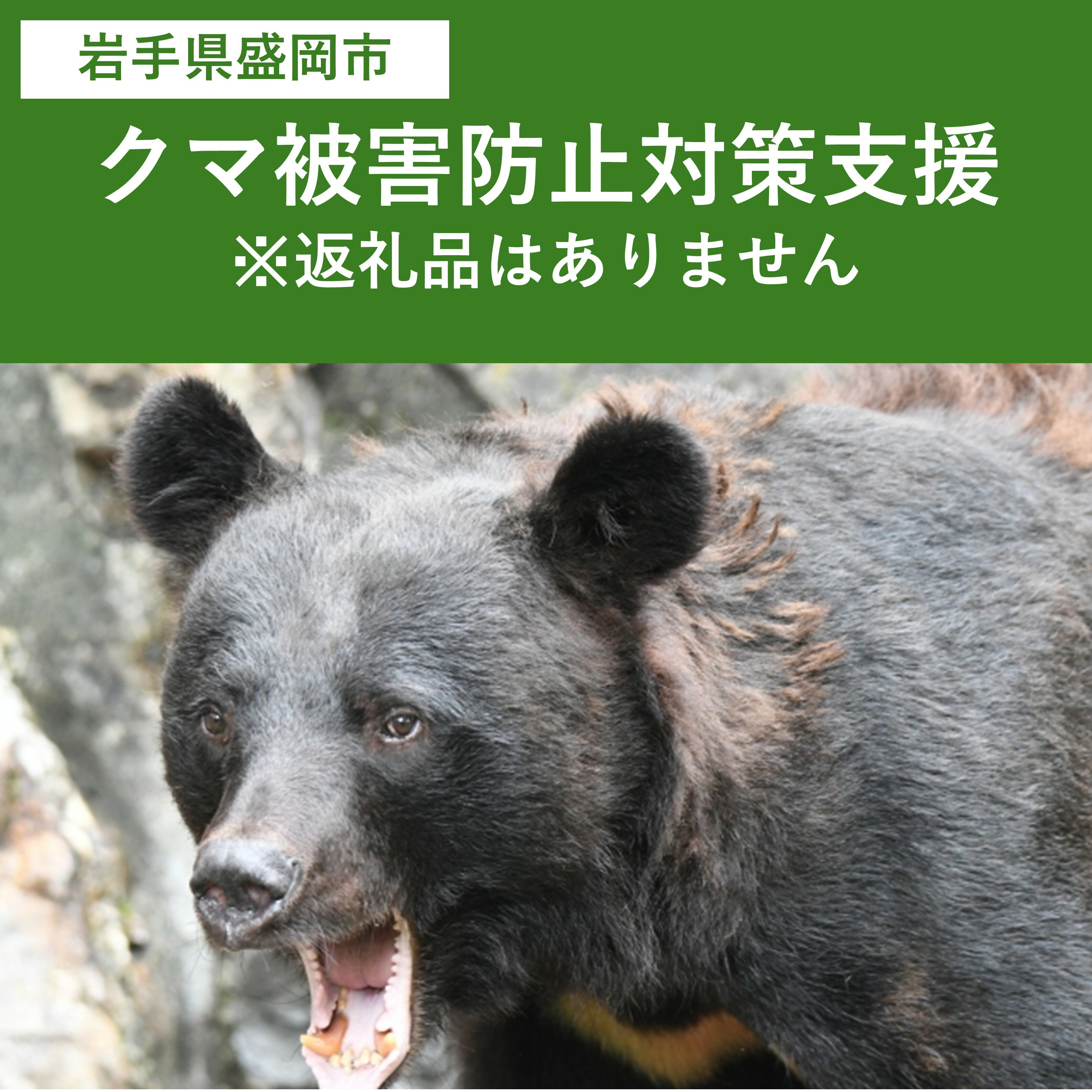 クマ被害防止対策支援(岩手県盛岡市)※返礼品はありません