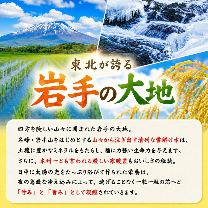 【ふるさと納税】 選べる! 7年 8年 ひとめぼれ 無洗米 白米 2kg 5kg 7kg 10kg12kg 新米 先行予約 新米予約 令和7年産 令和8年産 コメ お米 おこめ ライス 精米 人気 おすすめ 岩手県 盛岡市 岩手産 岩手県産 岩手 盛岡 北日本製袋 kitanihon001P