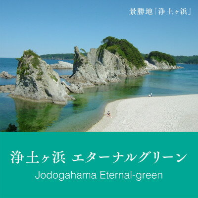 【ふるさと納税】岩手県宮古市シティカラー 「浄土ヶ浜のいいイロ」万年筆インク 20ml【1278527】