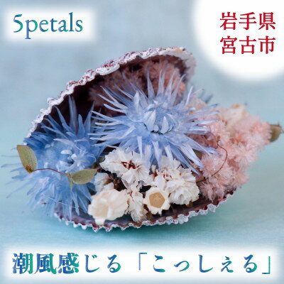 4位! 口コミ数「0件」評価「0」【宮古市】5petals 「こっしぇる」【1290634】