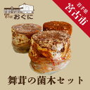 舞茸の菌木　約15kg(3〜4個)