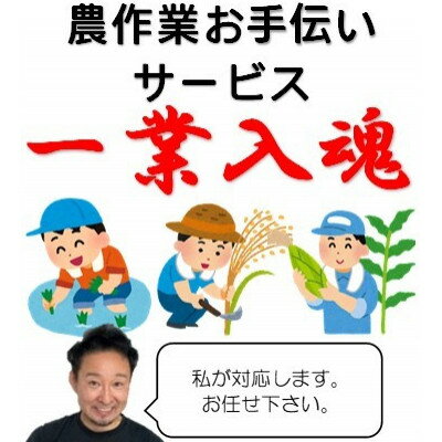 岩手県宮古市 農作業お手伝いサービス[1回(1日):7時間以内]