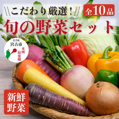 [新鮮野菜]こだわり厳選!旬の野菜セット[配送不可地域:離島・北海道・沖縄県]