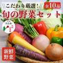 19位! 口コミ数「0件」評価「0」【新鮮野菜】こだわり厳選!旬の野菜セット【配送不可地域：離島・北海道・沖縄県】【1374254】