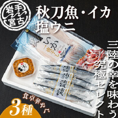 いか一夜干し1p・潮風さんま4本・塩うに1ケ　3種セット【配送不可地域：離島】【1462936】