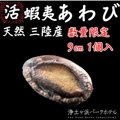 【先行予約(12月発送)】岩手県より獲れたて鮮魚直送便 【活蝦夷アワビ150g×1個】_ アワビ 鮑 あわび 蝦夷アワビ 三陸産 海鮮 岩手県 宮古市 冷蔵 産地直送 産直 美味しい おすすめ 送料無料 【配送不可地域：離島・沖縄県・九州】【1557332】