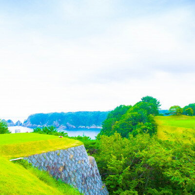 【ふるさと納税】平日ゴルフプレー+グリーンピア三陸みやこ「ペア宿泊券(1泊2食付き)」【1628142】