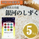 【ふるさと納税】〈先行予約 12月より順次発送〉【令和7年産】岩手県産銀河のしずく 精米 5kg【1647847】