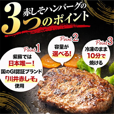 【ふるさと納税】【訳あり】赤しそハンバーグ　冷凍のままフライパンで10分! 選べる容量 600g～2.4kg【配送不可地域：離島】【G1760047】