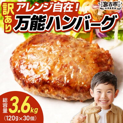 【ふるさと納税】【訳あり】万能ハンバーグ3.6kg(120g×30個)　冷凍のまま10分で焼ける【配送不可地域：離島】【1778294】