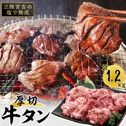 三陸 宮古 の塩を使用した 熟成 牛タン スライス 味付け 1.2kg (200g×6)_ 牛肉 肉 お肉 牛たん タン たん 焼肉 人気 美味しい 【配送不可地域：離島】【1278101】